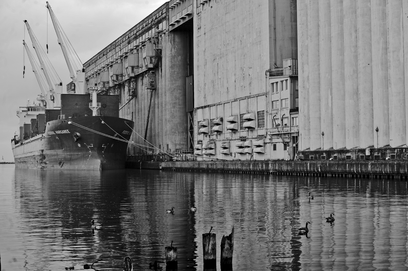 Ship at Grain Elevators Loading up